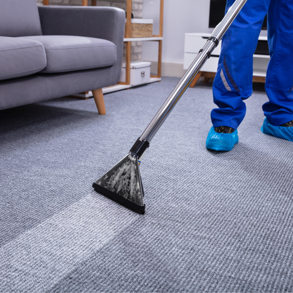 Carpet Cleaning