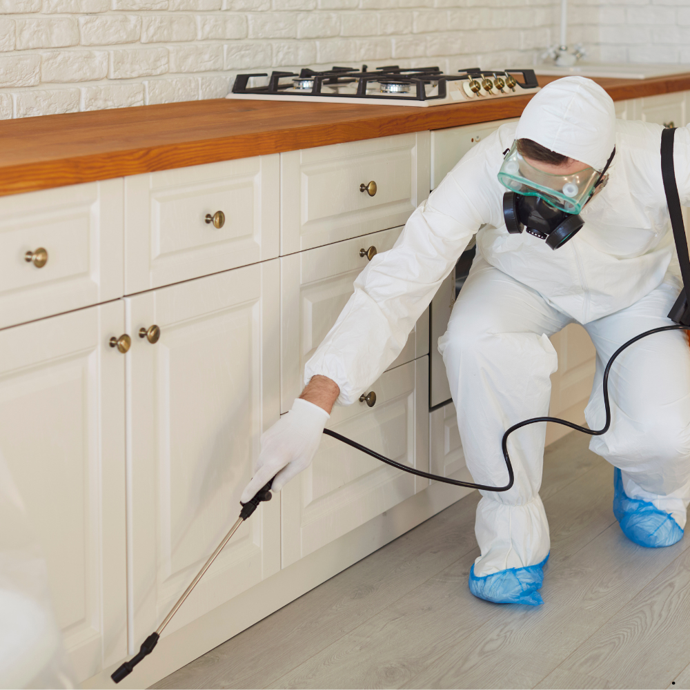 Sanitization Services